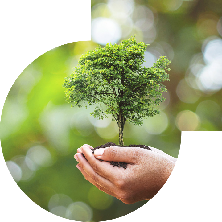 關懷人類、文化、環境與社會